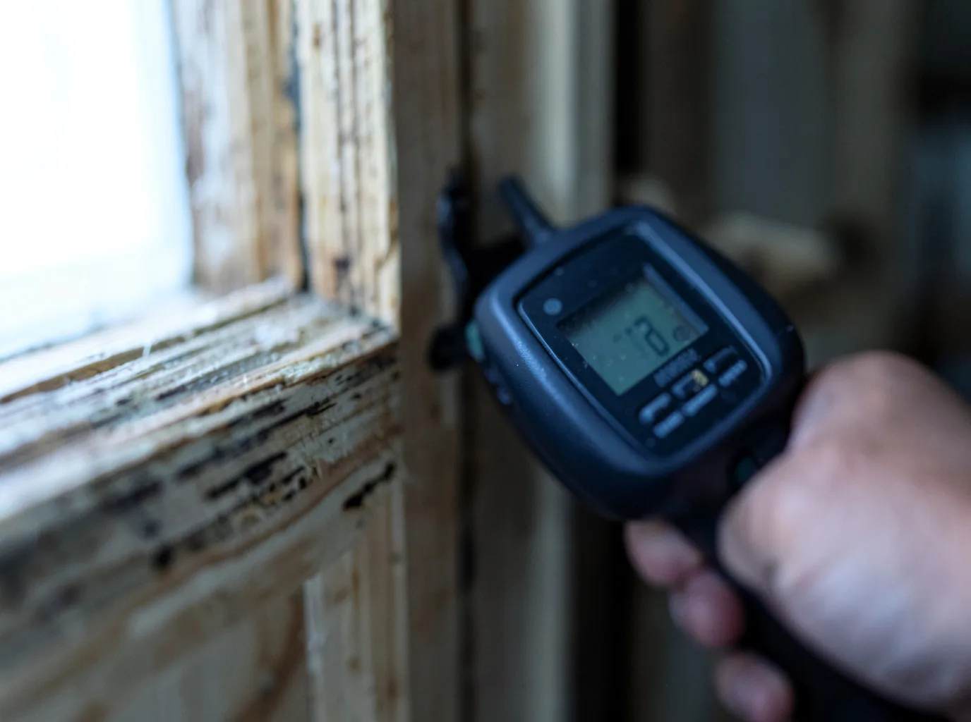 Moisture Inspection And Documentation in Pierce, CO